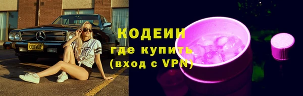 индика Бугульма