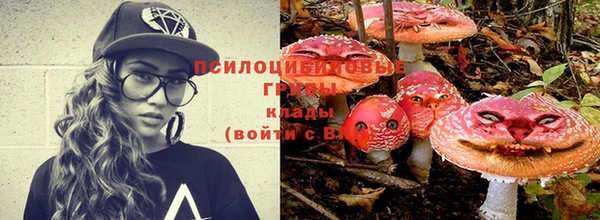 jwh Бородино