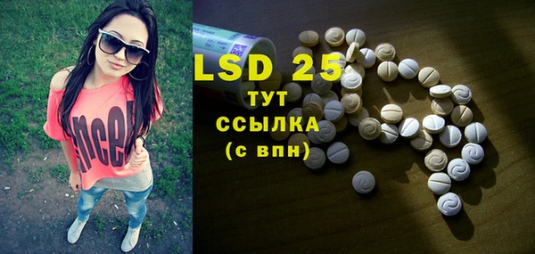 индика Бугульма