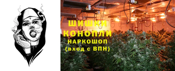 jwh Бородино