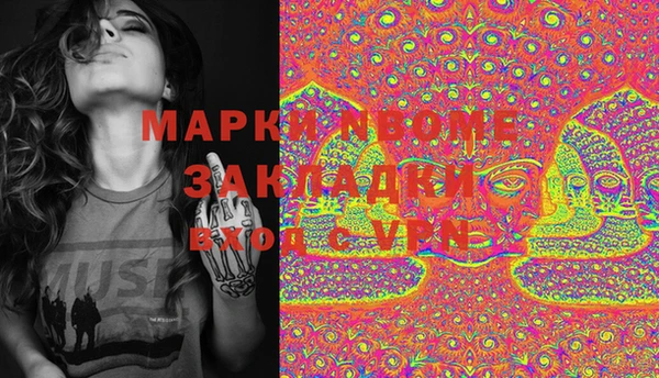 индика Бугульма