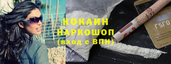 индика Бугульма